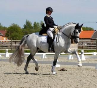 Katrien Verreet & Galliani Biolley winnen Grand Prix CDN Ghlin Katrien Verreet & Galliani Biolley winnen Grand Prix CDN Ghlin