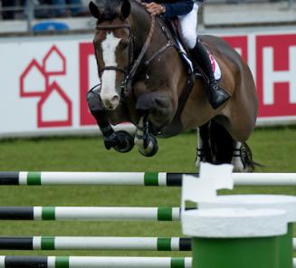 High Valley wint 1.45 Sunshine Tour High Valley wint 1.45 Sunshine Tour