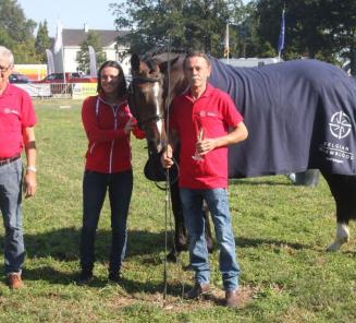 Le fils de Cicero Van Paemel, Jewel de Kwakenbeek, remporte le GP de Ghlin Le fils de Cicero Van Paemel, Jewel de Kwakenbeek, remporte le GP de Ghlin
