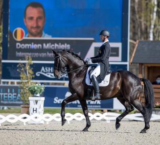 Dressuur: mooie scores voor BWP’ers en Belgen in Compiegne Dressuur: mooie scores voor BWP’ers en Belgen in Compiegne