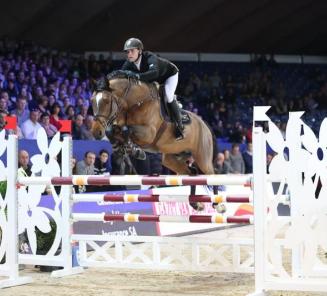8 new elite stallions for BWP 8 new elite stallions for BWP