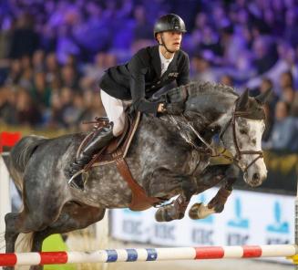 Hengstencompetitie: Leandro VG wint de 7-jarigen met Dirk Demeersman Hengstencompetitie: Leandro VG wint de 7-jarigen met Dirk Demeersman