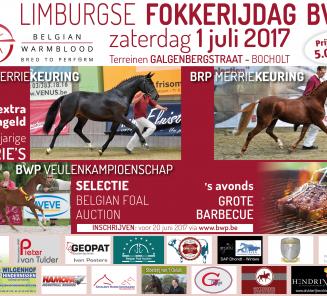 Laatste dag om in te schrijven voor BWP fokkerijdag Limburg Laatste dag om in te schrijven voor BWP fokkerijdag Limburg