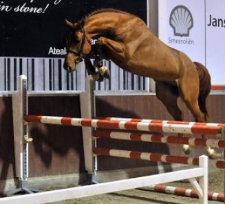 Top prestaties voor Kafka VD Heffinck in Boedapest Top prestaties voor Kafka VD Heffinck in Boedapest