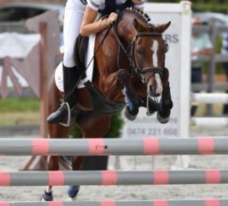 Inschrijvingen Bestgaande Rijpony Brabant open Inschrijvingen Bestgaande Rijpony Brabant open