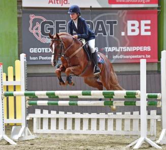 Nationaal Bestgaande BRp: de kampioenen nog eens op een rijtje Nationaal Bestgaande BRp: de kampioenen nog eens op een rijtje