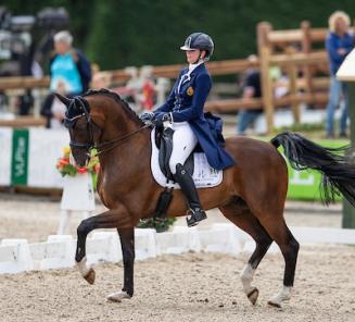 Fil Rouge wint het Belgisch dressuur kampioenschap Fil Rouge wint het Belgisch dressuur kampioenschap