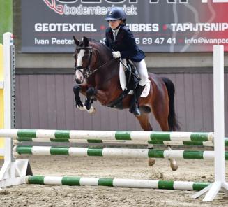 Nationale wedstrijd Bestgaande Rijpony op zaterdag 26 september Nationale wedstrijd Bestgaande Rijpony op zaterdag 26 september