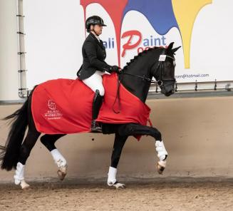 Daniel Deusser en Killer Queen VDM winnen de Sparkassen Youngster Cup Daniel Deusser en Killer Queen VDM winnen de Sparkassen Youngster Cup