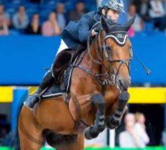 Jacarta Van T Ravennest wint in CSI2* Lier Jacarta Van T Ravennest wint in CSI2* Lier