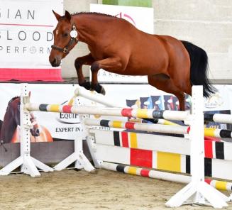 Youngsters Thibeau Spits & Jericho Dwerse Hagen laten seniors achter zich in Bonheiden Youngsters Thibeau Spits & Jericho Dwerse Hagen laten seniors achter zich in Bonheiden