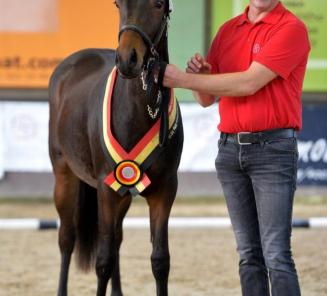 Nationale prijskamp BRp: inschrijvingen van start Nationale prijskamp BRp: inschrijvingen van start
