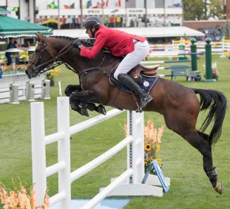 Tweede plaats voor Eldorado van het Vijverhof in Cascais Tweede plaats voor Eldorado van het Vijverhof in Cascais
