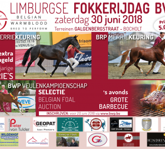 Orchids Bolero & Brillants Golden Boy worden BRp-Elitehengsten! Orchids Bolero & Brillants Golden Boy worden BRp-Elitehengsten!