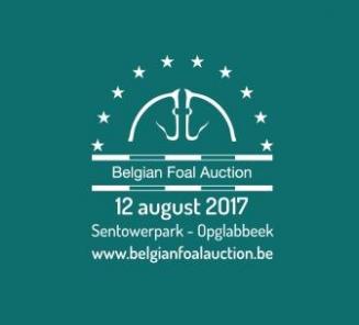 20ste editie Belgian Foal Auction belooft top-editie te worden 20ste editie Belgian Foal Auction belooft top-editie te worden