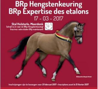Laatste dagen inschrijven BRp Hengstenkeuring Laatste dagen inschrijven BRp Hengstenkeuring