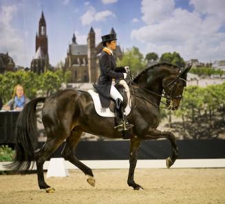 Dressuur: Jeannette Haazen & Dabanos winnen CDN Diepenbeek Dressuur: Jeannette Haazen & Dabanos winnen CDN Diepenbeek