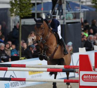 Dimaro vd Looise Heide wint GP Olomouc terwijl Latino vd Looise Heide in Sentower wint Dimaro vd Looise Heide wint GP Olomouc terwijl Latino vd Looise Heide in Sentower wint