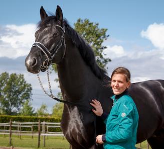 Dressuur: BWPers domineren CDN Waregem Dressuur: BWPers domineren CDN Waregem