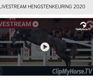 Volg de Hengstenkeuring via de Livestream Volg de Hengstenkeuring via de Livestream