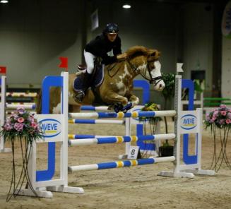 BRp-pony's halen nationale titels op de nationale ponyindoor van LRV in de hoogste klassen BL, CM en DM BRp-pony's halen nationale titels op de nationale ponyindoor van LRV in de hoogste klassen BL, CM en DM