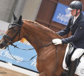 CDN Diepenbeek: Intermédiaire I voor Nils Debo & Jazz Dancer vh Stappershof CDN Diepenbeek: Intermédiaire I voor Nils Debo & Jazz Dancer vh Stappershof