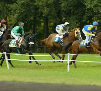 How to recognize a winning bet (advertorial) How to recognize a winning bet (advertorial)