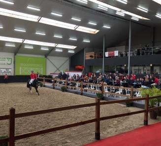 BWP-hengstenkeuring: programma zaterdag 17 maart BWP-hengstenkeuring: programma zaterdag 17 maart
