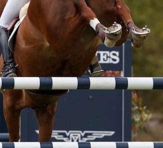 Fleur IV beste BWPer in GP Lummen Fleur IV beste BWPer in GP Lummen
