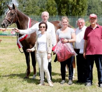 Inschrijvingen Prijskamp & Open Vlaams Veulenkampioenschap Zuid-Oost-Vlaanderen open Inschrijvingen Prijskamp & Open Vlaams Veulenkampioenschap Zuid-Oost-Vlaanderen open